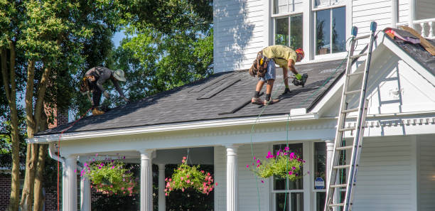 Best Flat Roof Repair Services  in Woodland Heights, PA