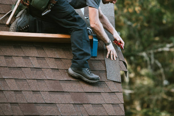 Best Local Roofing Companies  in Woodland Heights, PA
